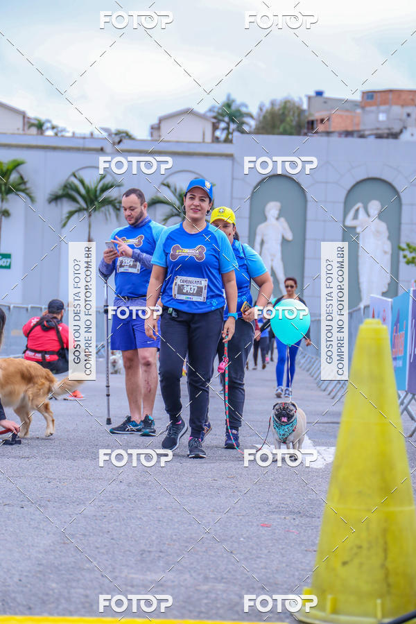 Buy your photos of the event6 Corrida do Shopping Aricanduva on Fotop