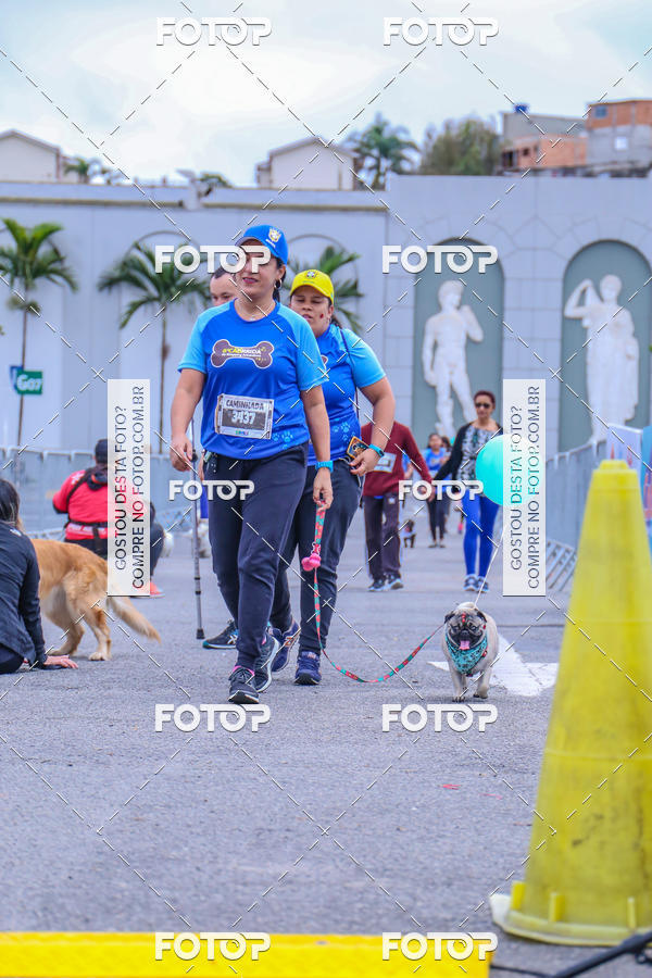 Buy your photos of the event6 Corrida do Shopping Aricanduva on Fotop