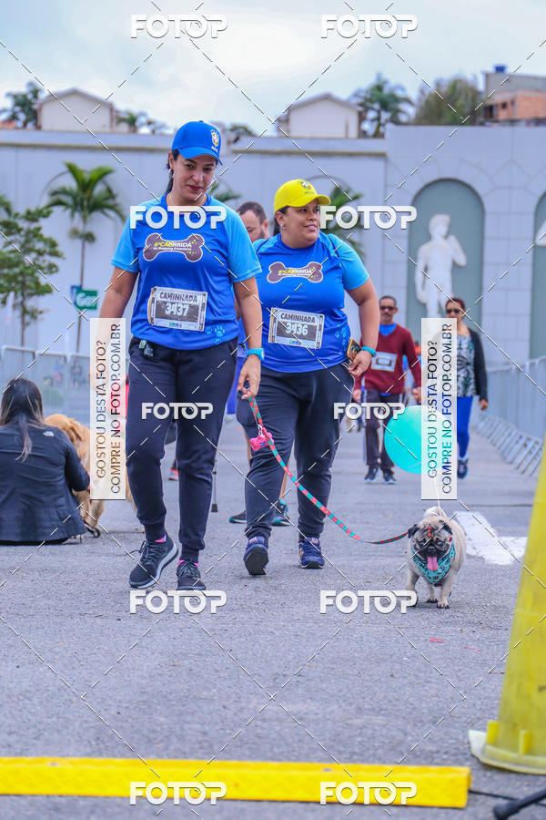 Buy your photos of the event6 Corrida do Shopping Aricanduva on Fotop
