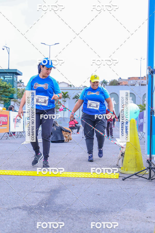 Buy your photos of the event6 Corrida do Shopping Aricanduva on Fotop
