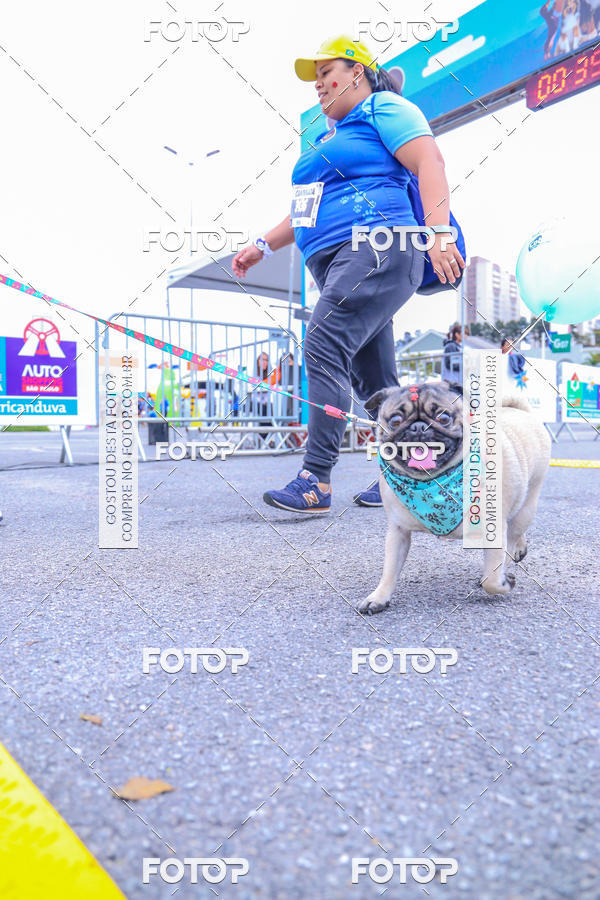 Buy your photos of the event6 Corrida do Shopping Aricanduva on Fotop