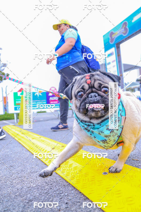 Buy your photos of the event6 Corrida do Shopping Aricanduva on Fotop
