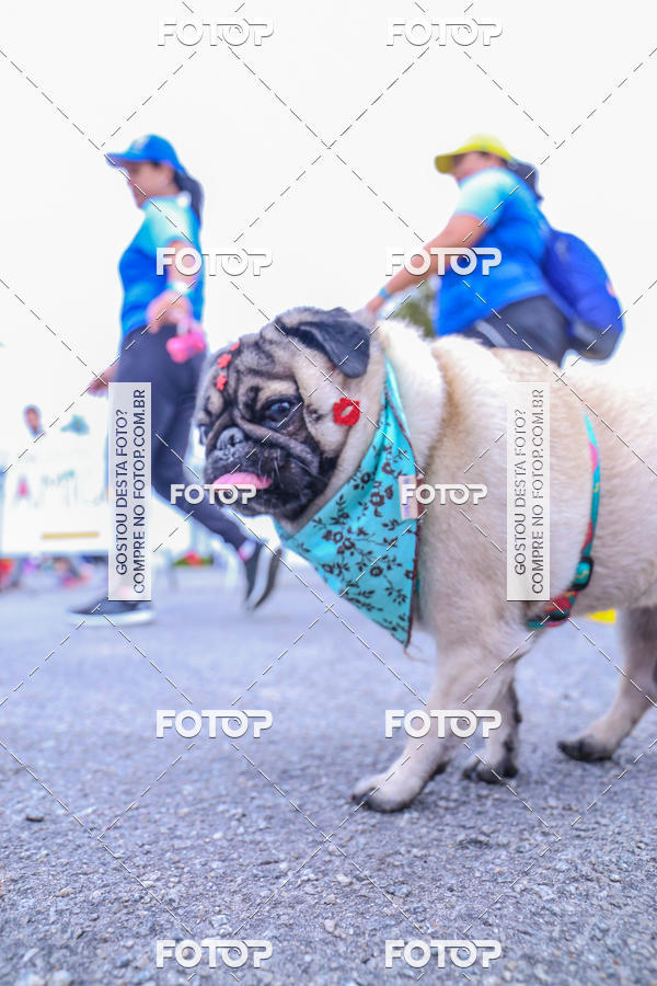 Buy your photos of the event6 Corrida do Shopping Aricanduva on Fotop