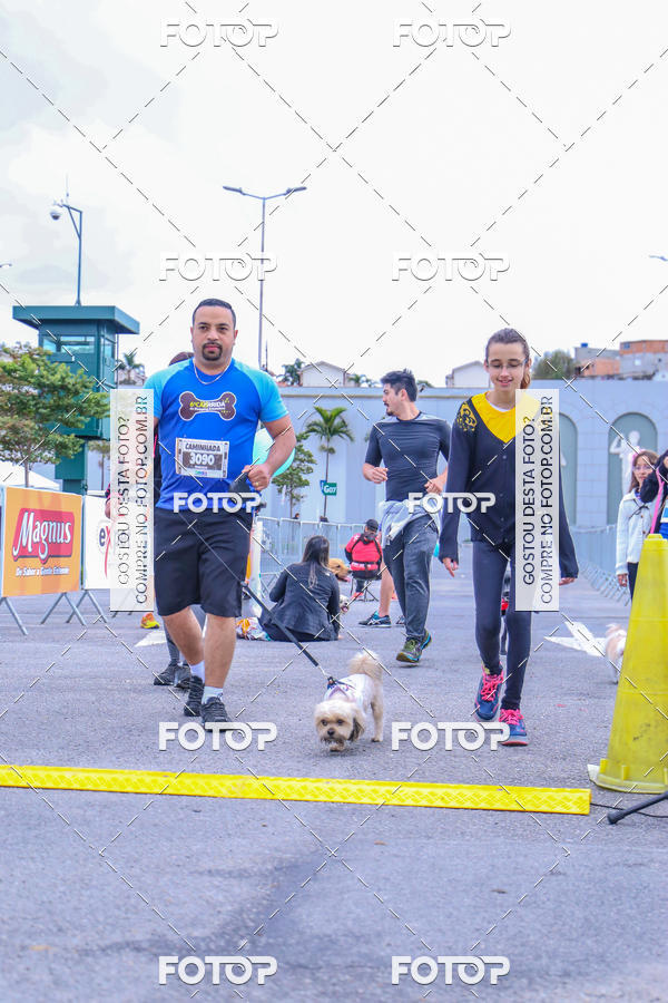 Buy your photos of the event6 Corrida do Shopping Aricanduva on Fotop