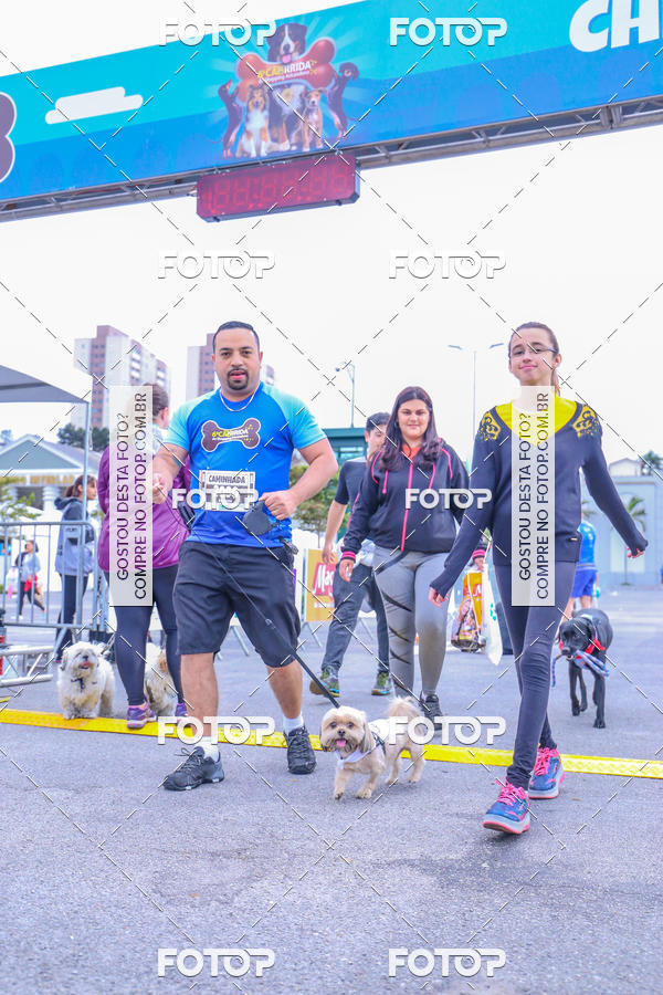Buy your photos of the event6 Corrida do Shopping Aricanduva on Fotop