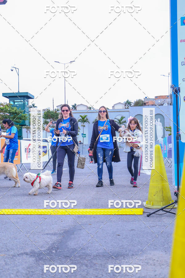 Buy your photos of the event6 Corrida do Shopping Aricanduva on Fotop