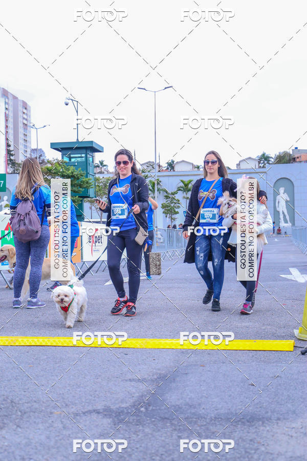 Buy your photos of the event6 Corrida do Shopping Aricanduva on Fotop