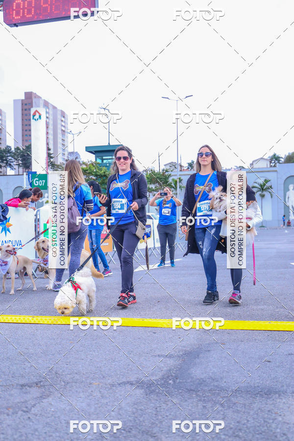 Buy your photos of the event6 Corrida do Shopping Aricanduva on Fotop