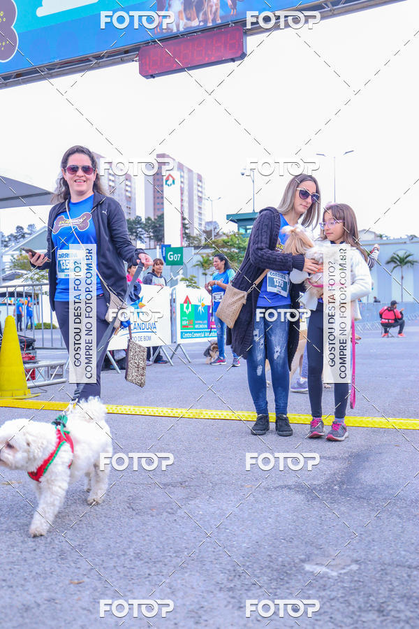Buy your photos of the event6 Corrida do Shopping Aricanduva on Fotop