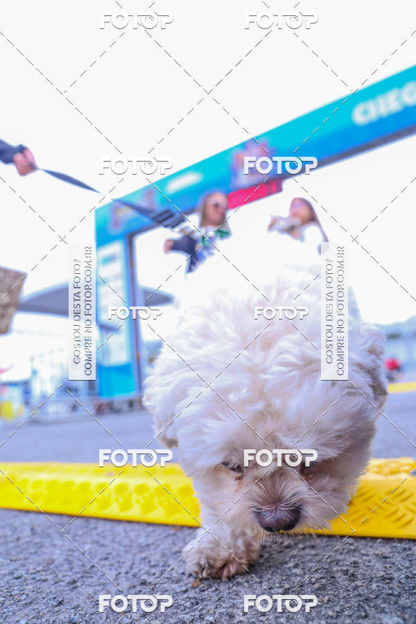 Buy your photos of the event6 Corrida do Shopping Aricanduva on Fotop