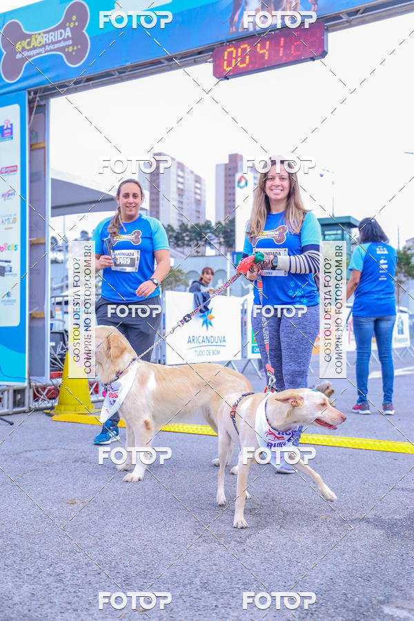 Buy your photos of the event6 Corrida do Shopping Aricanduva on Fotop