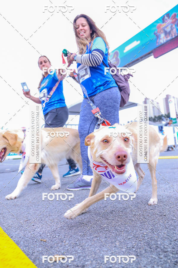 Buy your photos of the event6 Corrida do Shopping Aricanduva on Fotop