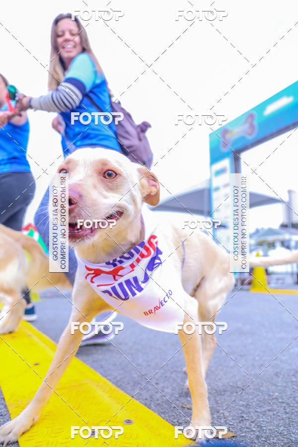 Buy your photos of the event6 Corrida do Shopping Aricanduva on Fotop