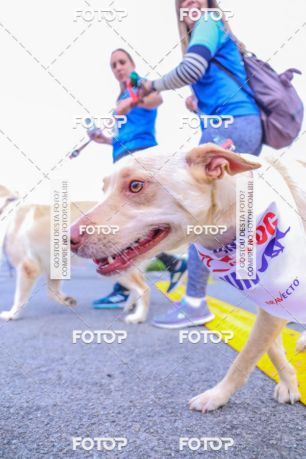 Buy your photos of the event6 Corrida do Shopping Aricanduva on Fotop