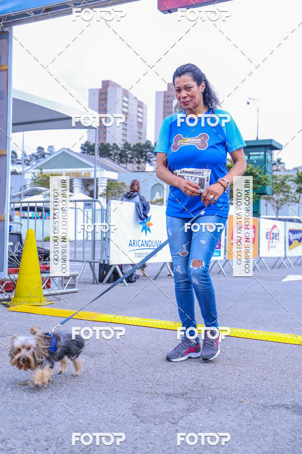 Buy your photos of the event6 Corrida do Shopping Aricanduva on Fotop