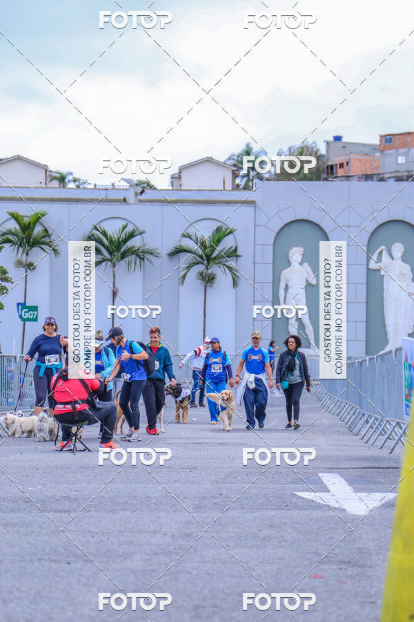 Buy your photos of the event6 Corrida do Shopping Aricanduva on Fotop