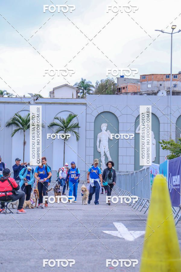 Buy your photos of the event6 Corrida do Shopping Aricanduva on Fotop