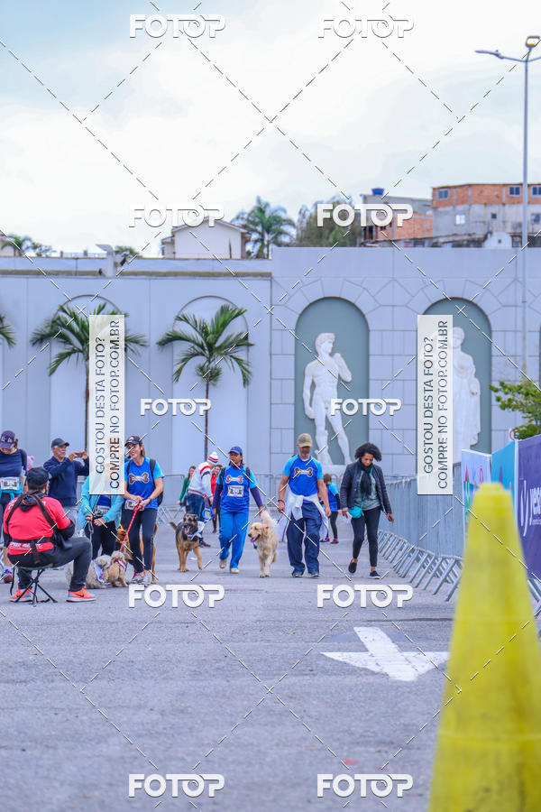 Buy your photos of the event6 Corrida do Shopping Aricanduva on Fotop