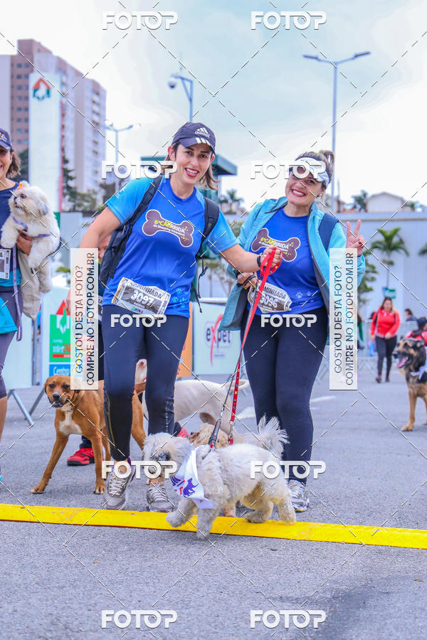 Buy your photos of the event6 Corrida do Shopping Aricanduva on Fotop