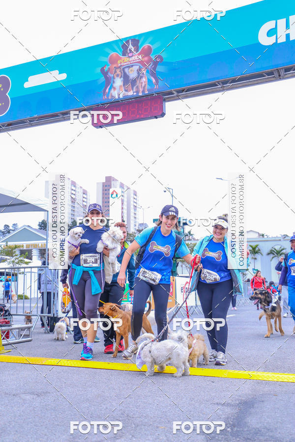Buy your photos of the event6 Corrida do Shopping Aricanduva on Fotop