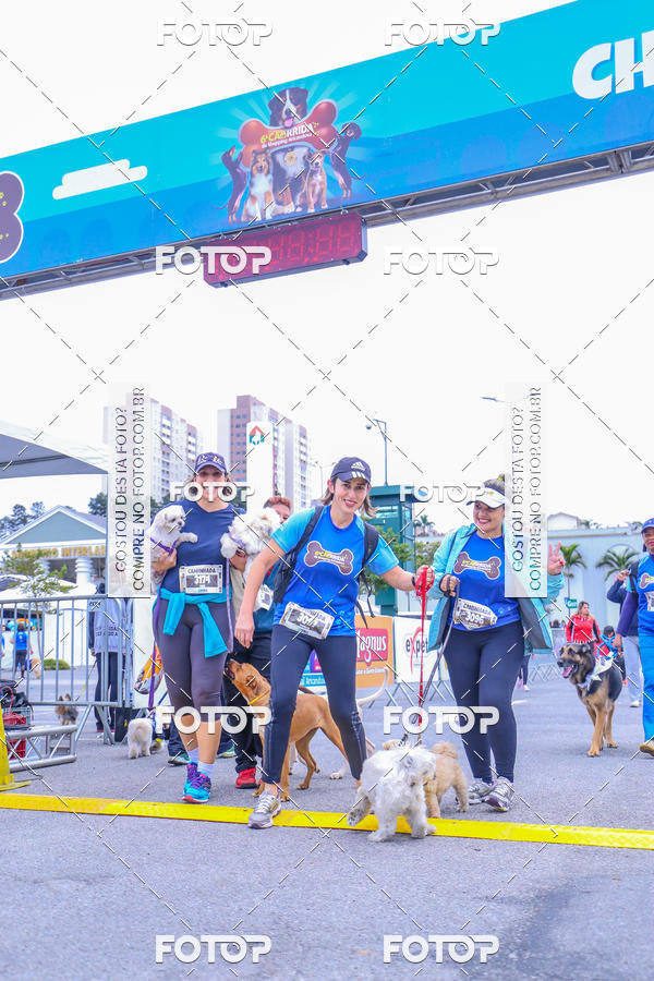 Buy your photos of the event6 Corrida do Shopping Aricanduva on Fotop