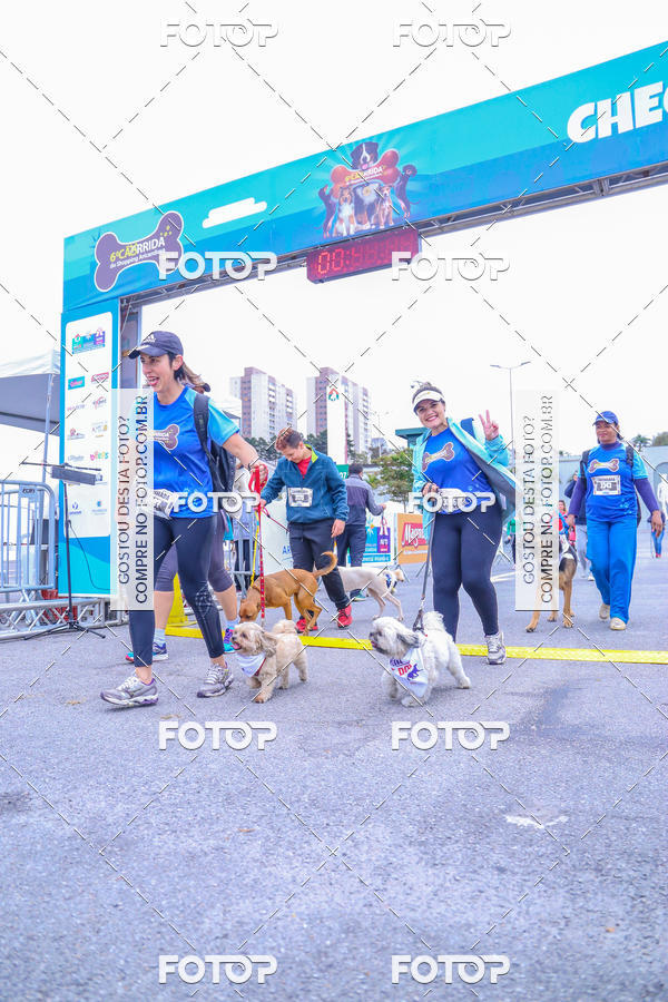 Buy your photos of the event6 Corrida do Shopping Aricanduva on Fotop