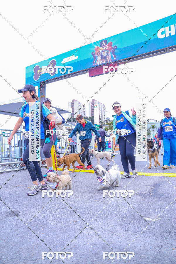 Buy your photos of the event6 Corrida do Shopping Aricanduva on Fotop