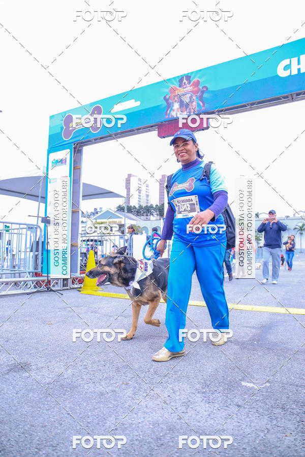 Buy your photos of the event6 Corrida do Shopping Aricanduva on Fotop
