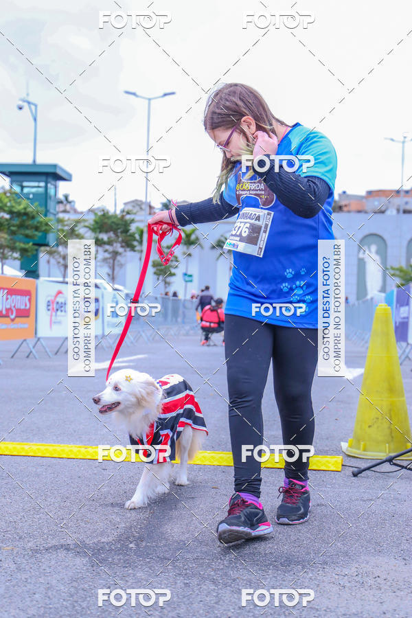 Buy your photos of the event6 Corrida do Shopping Aricanduva on Fotop