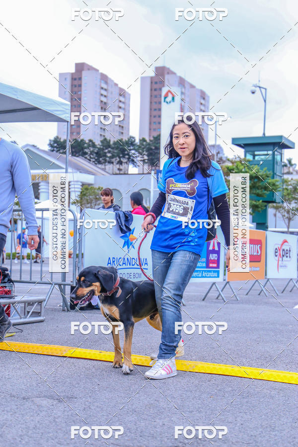 Buy your photos of the event6 Corrida do Shopping Aricanduva on Fotop