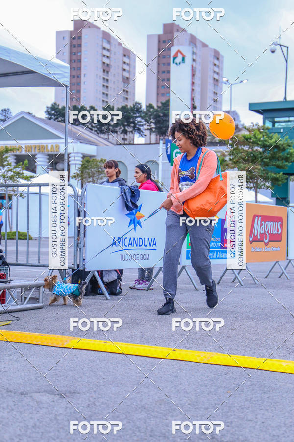 Buy your photos of the event6 Corrida do Shopping Aricanduva on Fotop