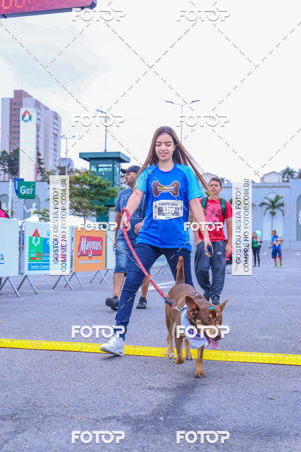Buy your photos of the event6 Corrida do Shopping Aricanduva on Fotop