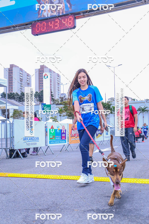 Buy your photos of the event6 Corrida do Shopping Aricanduva on Fotop
