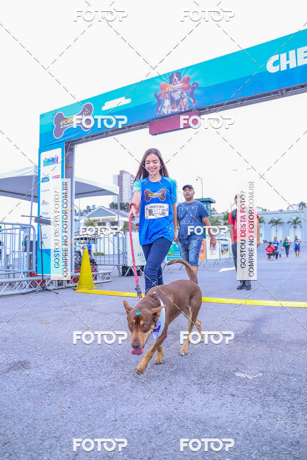 Buy your photos of the event6 Corrida do Shopping Aricanduva on Fotop
