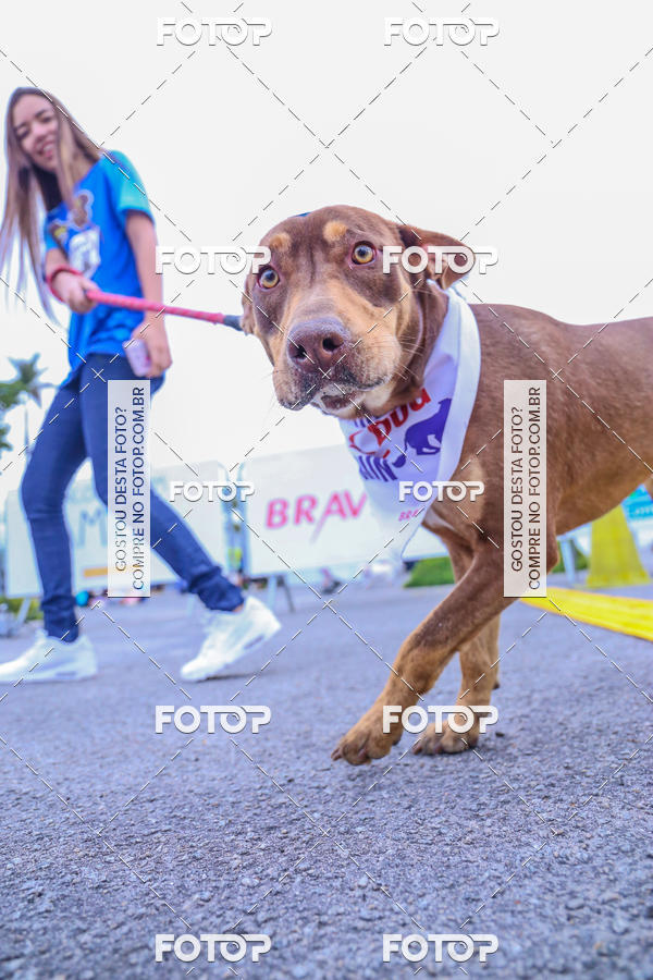 Buy your photos of the event6 Corrida do Shopping Aricanduva on Fotop