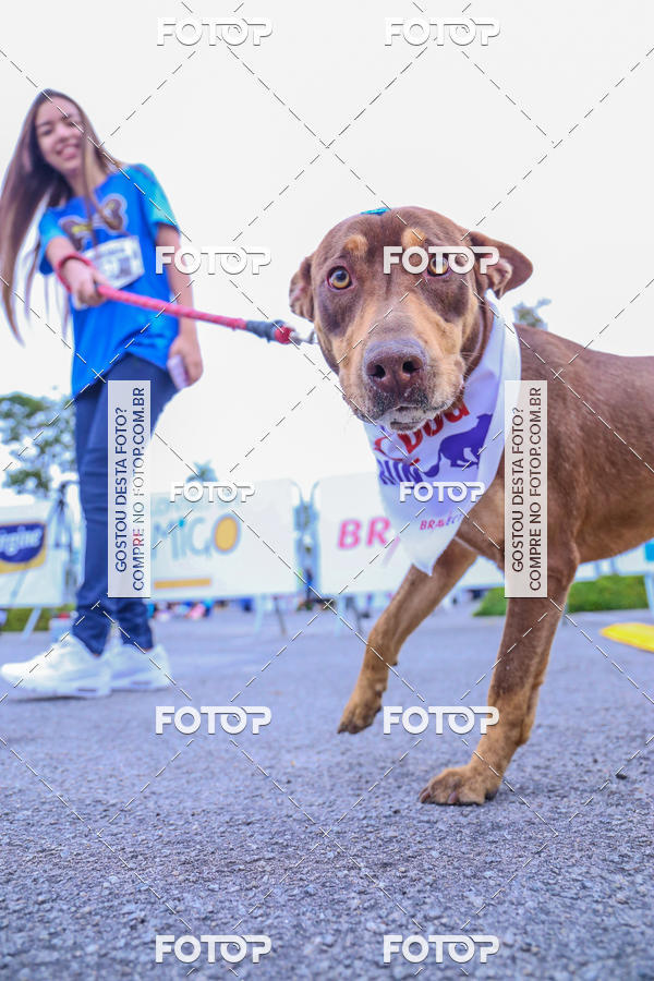 Buy your photos of the event6 Corrida do Shopping Aricanduva on Fotop
