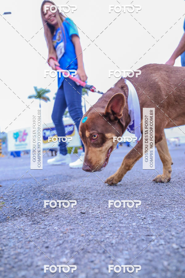 Buy your photos of the event6 Corrida do Shopping Aricanduva on Fotop