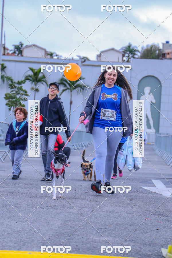 Buy your photos of the event6 Corrida do Shopping Aricanduva on Fotop
