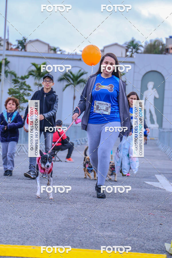 Buy your photos of the event6 Corrida do Shopping Aricanduva on Fotop