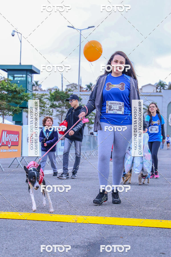 Buy your photos of the event6 Corrida do Shopping Aricanduva on Fotop