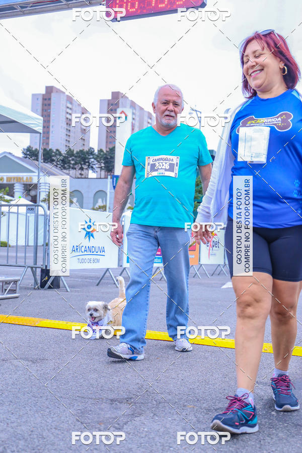 Buy your photos of the event6 Corrida do Shopping Aricanduva on Fotop