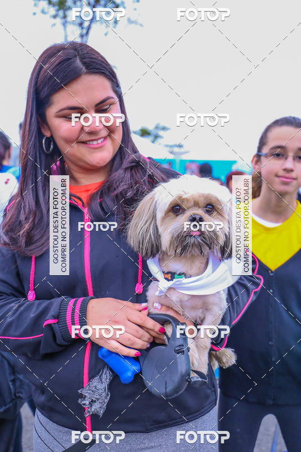 Buy your photos of the event6 Corrida do Shopping Aricanduva on Fotop