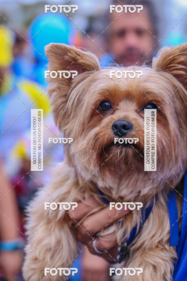 Buy your photos of the event6 Corrida do Shopping Aricanduva on Fotop