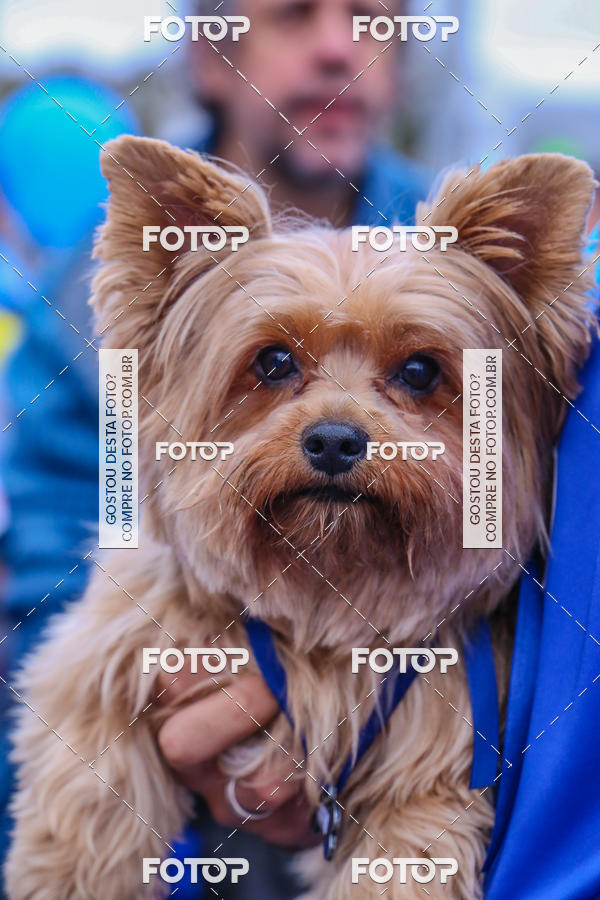 Buy your photos of the event6 Corrida do Shopping Aricanduva on Fotop