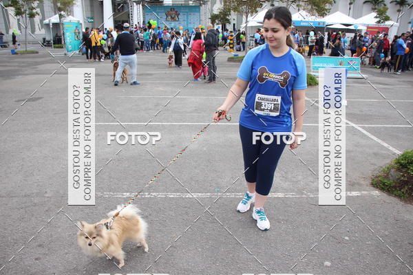 Buy your photos of the event6 Corrida do Shopping Aricanduva on Fotop