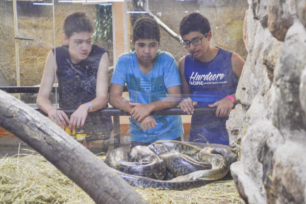 Buy your photos of the eventNR Sun - 03 a 06/09/17 on Fotop