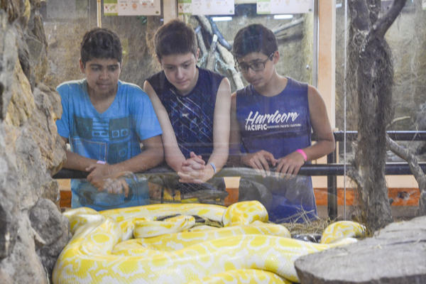 Buy your photos of the eventNR Sun - 03 a 06/09/17 on Fotop