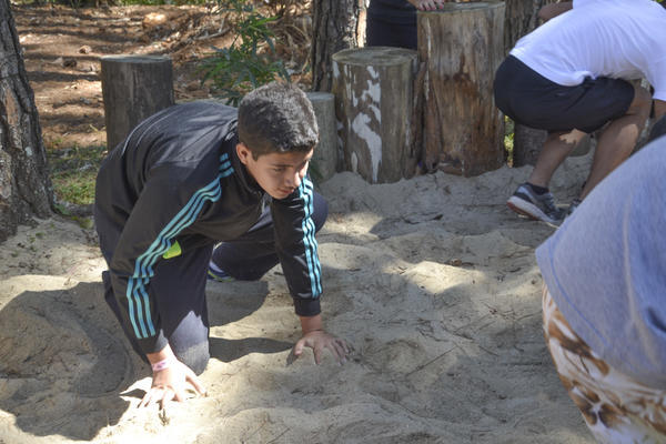 Buy your photos of the eventNR Sun - 03 a 06/09/17 on Fotop