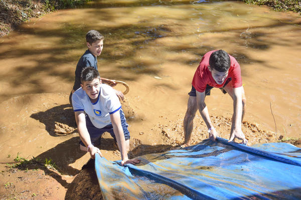 Buy your photos of the eventNR Sun - 03 a 06/09/17 on Fotop