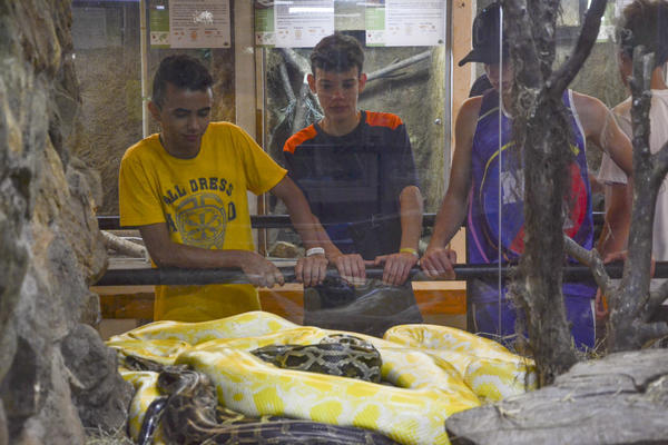 Buy your photos of the eventNR Sun - 03 a 06/09/17 on Fotop